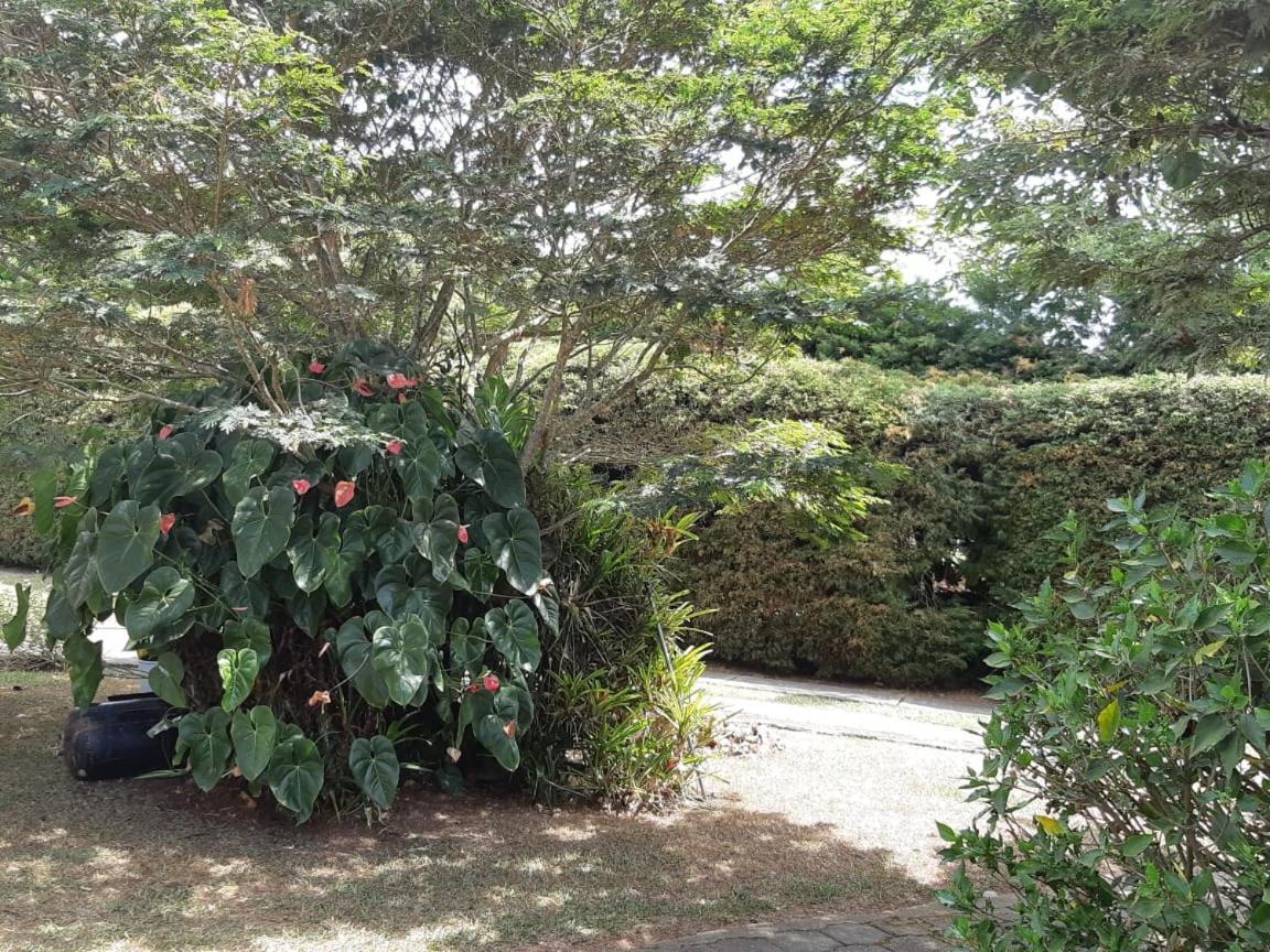 Finca Paraiso Calima Exterior foto
